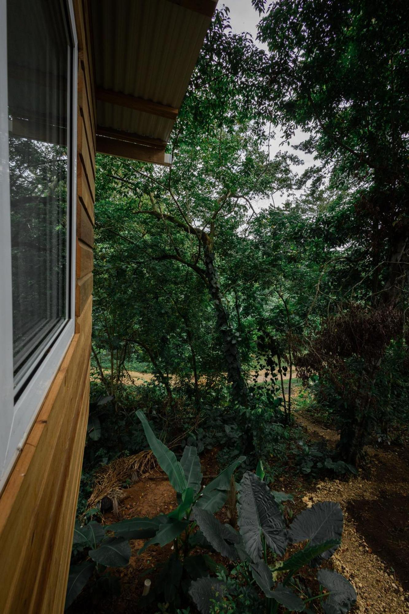Monkey Tiny House - Private Swimming Pool Villa Big Bight Exterior foto